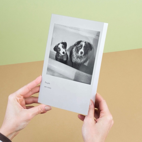 Quote Unquote All Occasions Card by Borealis Press - Picture 4 of 13